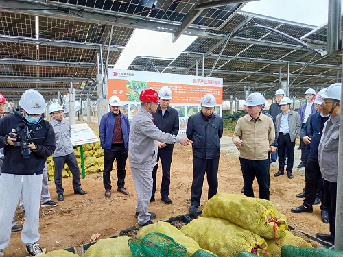 省工業(yè)和信息化廳副廳長吳東文及縱向幫扶組團單位一行到葵潭農場調研2.png