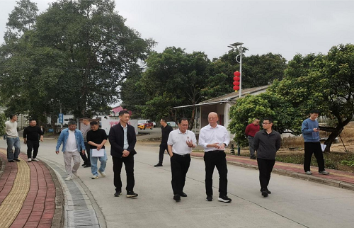 范利輝帶隊到卅嶺農(nóng)場進行項目規(guī)劃建設調(diào)研.png